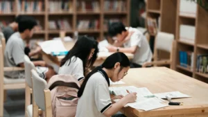 Civil Services Preparation